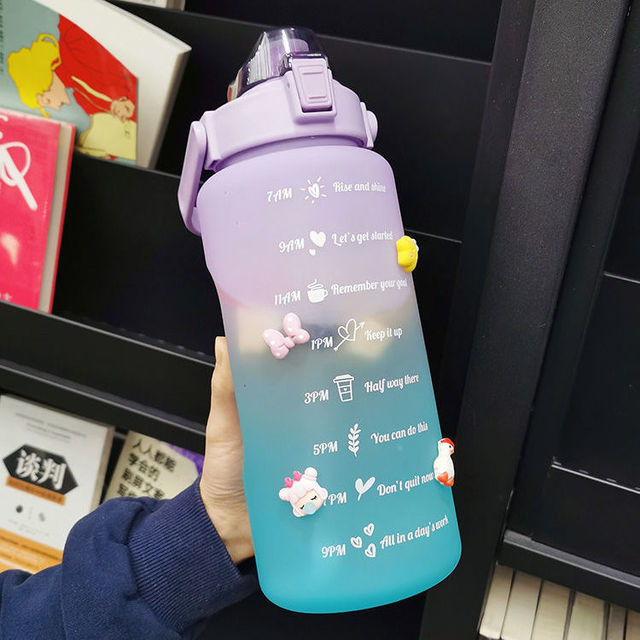 PGO Water Bottle